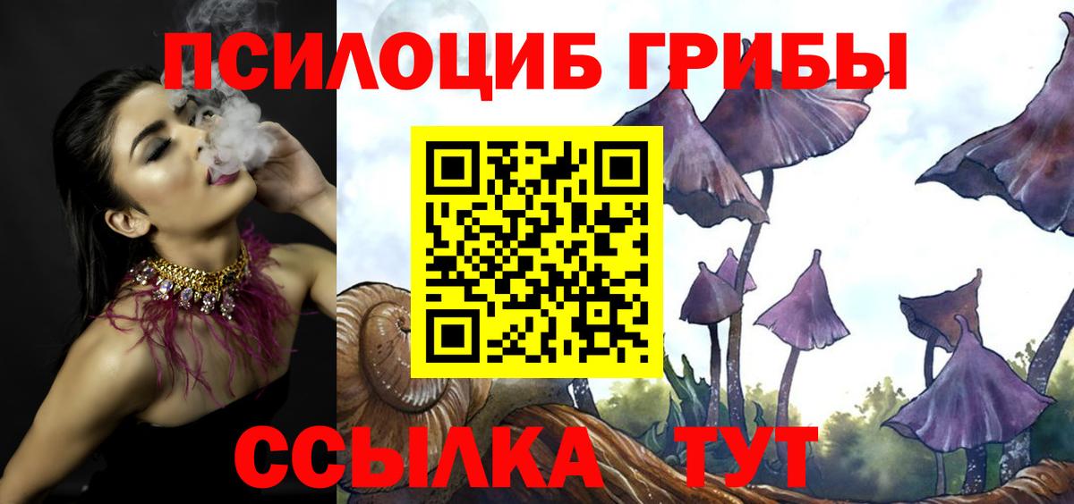 Галлюциногенные грибы Psilocybine cubensis Алексеевка
